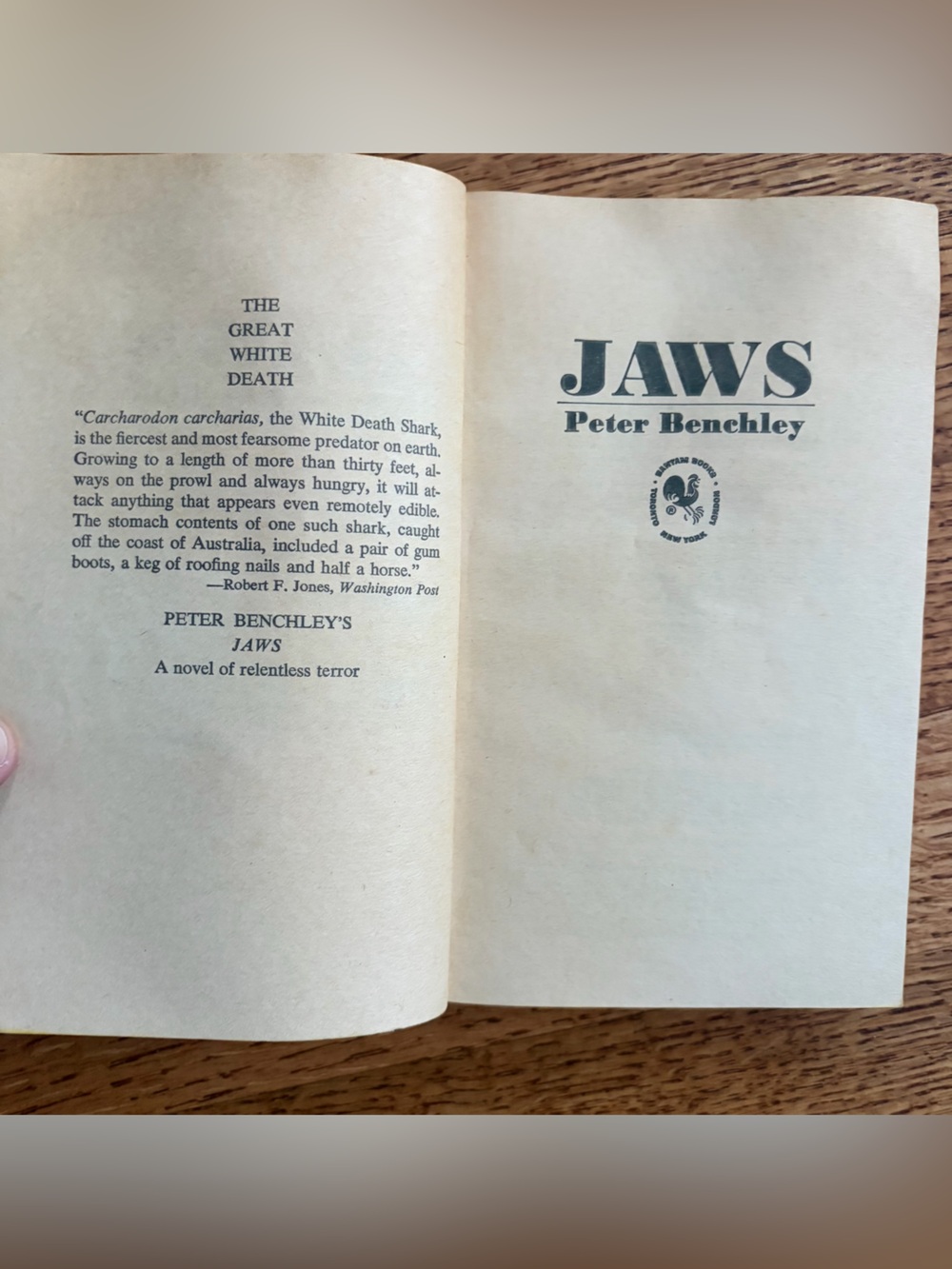 Jaws by Peter Benchley Vintage Bantam Paperback Book 1975 18th Printing - Picture 10 of 15